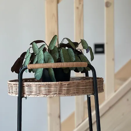 Casa vacanze Sielskie Chatki - Twardorzeczka Lipowa