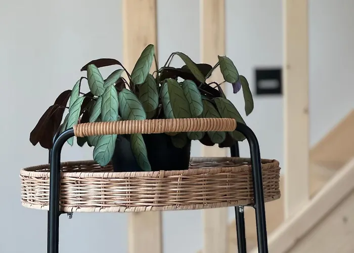 Vakantiehuis Sielskie Chatki - Twardorzeczka Lipowa